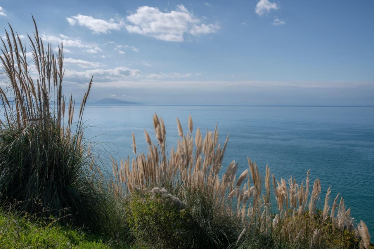 Studio design - Proche plage Biarritz Esterno foto